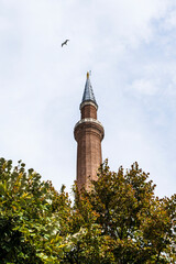 Wall Mural - Hagia Sophia mosque view from different angles. istanbul