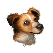 Kromfohrlander, Landr, Kromi dog digital art illustration isolated on white background. Germany origin rought hair companion dog. Pet hand drawn portrait. Graphic clip art design for web print