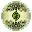 Illustration of a Celtic tree of life with spiral, Yggdrasil, world tree, Norse mythology, Viking, spiritual symbol, colorful on green background, vintage, round frame
