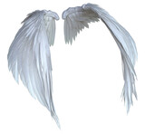 Fototapeta Kosmos - 3D Rendered White Fantasy Angel Wings Isolated On Transparent Background - 3D Illustration