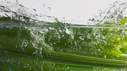 Ripe celery splashing liquid in light background closeup. Healthy fitness eating