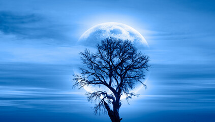 Lone dead tree with super full blue Moon 