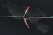 Highline over water. The athlete walks on a line above the water. Epic aerial view.