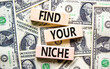 Find your niche symbol. Concept words Find your niche on wooden blocks. Dollar bills. Beautiful background from dollar bills. Business and find your niche concept. Copy space.