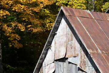 a badly damaged old maple syrup factory
