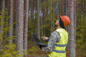 Wall Mural - Forest engineer works with a computer in the forest. Trees are reflected on the computer monitor.