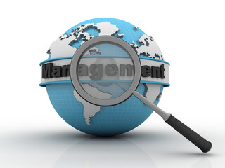 Wall Mural - 3d rendering management globe search concept