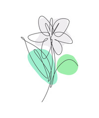 Wall Mural - One continuous line drawing beautiful abstract lily flower. Minimal fresh beauty natural concept. Home wall decor, poster, tote bag, fabric print. Single line draw design graphic vector illustration
