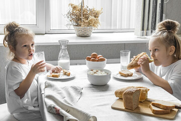 two sister girls in white t-shirts have breakfast at home in the kitchen with natural and healthy products, cottage cheese and cornbread, milk and boiled chicken eggs