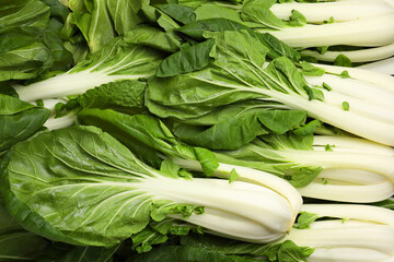 Fresh green pak choy cabbages as background, top view