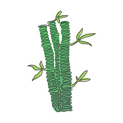 Poster - Continuous one line drawing bamboo trees for plantation logo identity. Fresh evergreen perennial flowering plant concept for plant icon. Swirl curl style. Single line draw design vector illustration