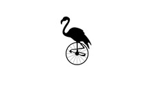 Pelikan On Bike, Silhouette