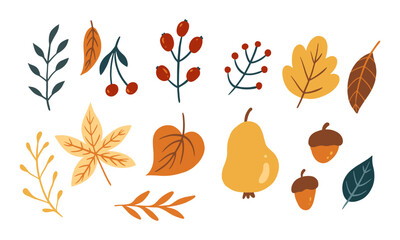 Wall Mural - Set of cute leaf and vegetable for autumn design element. Collection of simple cartoon of nature hand drawn illustration.