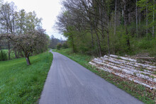 Road In The Countryside With Tree Logs On The Roadside 