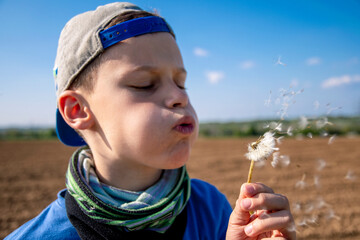 child blowing dandelion