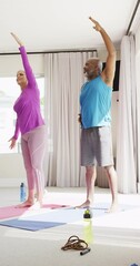 Wall Mural - Vertical video of happy diverse senior couple practicing yoga exercising together indoors