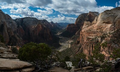 Natural view of Zion National Park and the road to the visitor center in Utah, USA