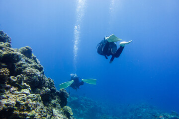  Snorkeling at the Kerama Islands in Okinawa.