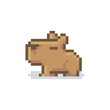 Cute capybara illustration, pixel art animal