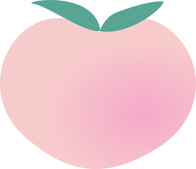 Wall Mural - peach fruit  with leaf