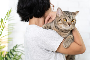 Woman hug cute cat.