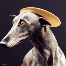 Dog Portrait Greyhound