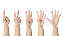 Man Showing Zero To Five Fingers Count Signs Isolated On White Background With Clipping Path Included. Communication Gestures Concept