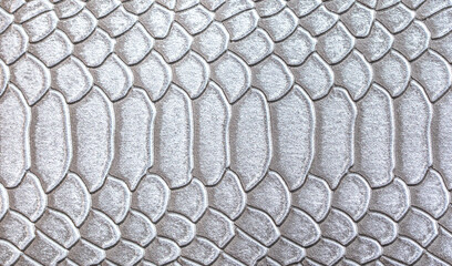 Beautiful white bright python skin, reptile skin texture, snake skin close-up as a background.