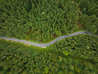 Top down aerial view of a twisty road through a forest trees and green landscape. Asphalt driving transportation road aerial drone overhead view. Alp motorway.