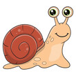 vector illustration of cute snail cartoon