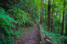 Okutama, Entrance Area Of Trail Hiking
