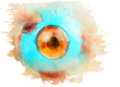 Watercolor clipart of an anatomical model of the human eye on transparent background