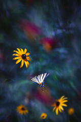 Wall Mural - Bright tropical butterfly and yellow flowers in a fairy garden.