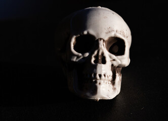 scary human skull horror Halloween