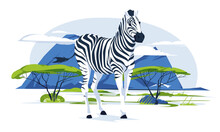 A Zebra Standing Alone Against A Savannah Landscape. Wild African Animals. Vector Flat Illustration