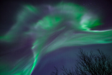 Wall Mural - northern lights, corona