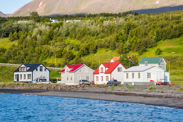 Wall Mural - the coastline of village of Hjalteyri in Iceland