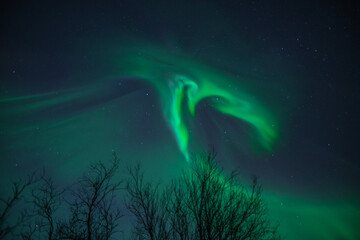 Wall Mural - big green northern lights