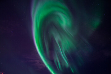 Wall Mural - green and pink northern lights