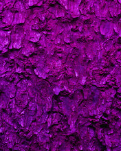 Abstract Purple Tree Bark Background, Closeup Of Natural Tree Bark Texture. Tree Trunk In Neon Light, Natural Material Background Image