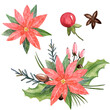 © Nadi - Watercolor, Christmas star, poinsettia, needles, cute cartoon deer, red berries, snowflakes, cones, glass toys, Christmas mood