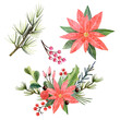 © Nadi - Watercolor, Christmas star, poinsettia, needles, cute cartoon deer, red berries, snowflakes, cones, glass toys, Christmas mood