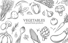 Vegetables, Natural Farm Products Design Template Vector Illustration. Hand Drawn Vintage Sketch Of Vegetables For Organic Healthy Vegetarian Menu, Raw Food Ingredients For Cooking In Pattern