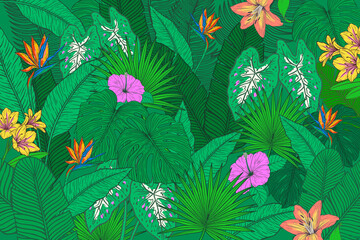 tropical jungle foliage scene illustration