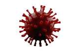 Fototapeta  - Pathogenic flu virus on transparent background.