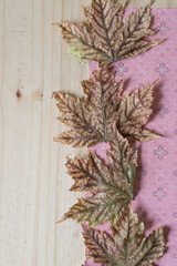 Sticker - dried, wrinkled maple leaves with attractive pattern on pink scrapbook paper and wood