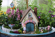 Miniature Fairy Garden In Blue Gardening Pot