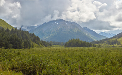 Wall Mural - Kenai peninsula