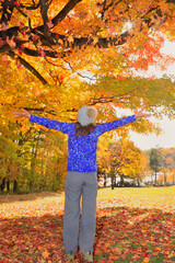 Wall Mural - Young girl enjoying autumn colorful leaves in Quebec, Canada