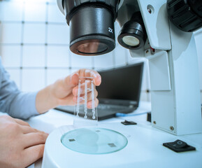 Sticker - Miniature device lab on chip, microfluidic Devices chip in the hands of a laboratory assistant under a microscope